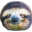 sloth.png