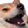 roflandog.png