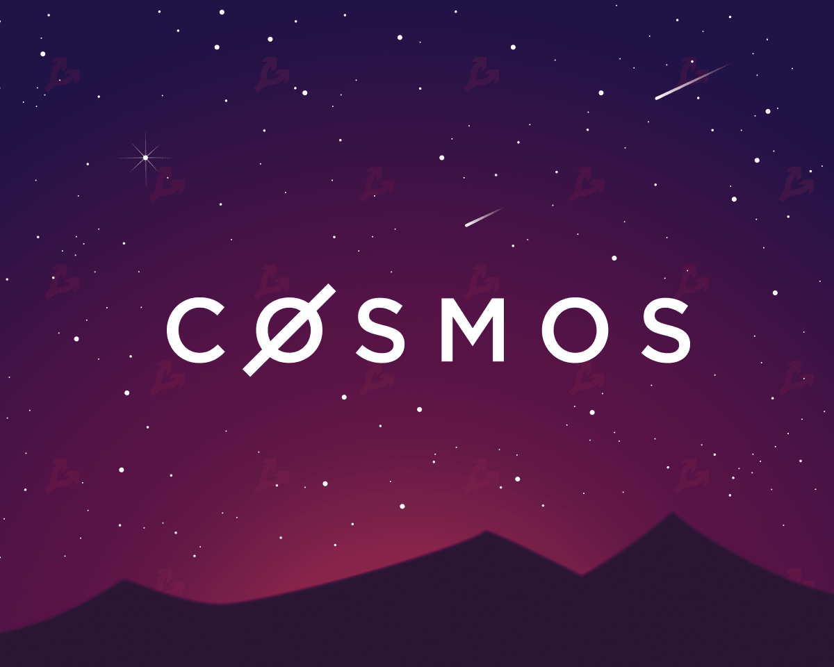 cosmos2-min.png